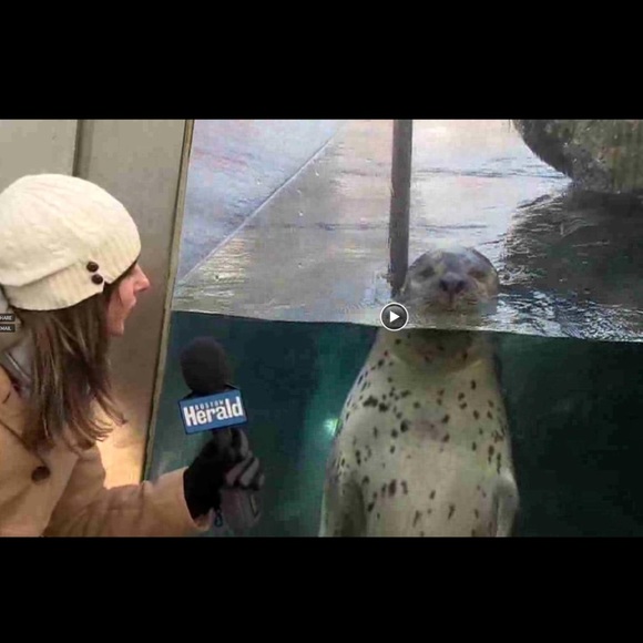 Meet your Posher, Hildy - Picture 3 of 8